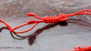 ➤10 вещей, которые категорически нельзя поднимать с земли ➤