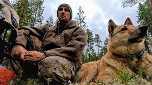 КРУЧЕНЫЙ МЕДВЕДЬ. ОСЕННЯЯ ОХОТА.