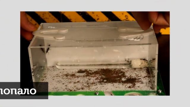 15Советов начинающему мирмикиперу