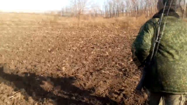 Охота с пневматикой на куропатку/фазана,нашел дупла куницы! смотреть онлайн