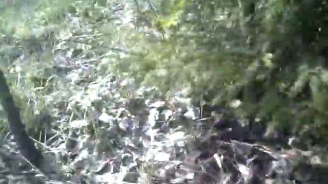 змейка смотреть онлайн