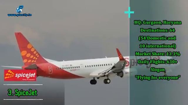 Top 5 Airlines in India | Best Indian Airlines based on Market Share 2024 смотреть онлайн