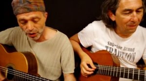 СОВЫ НЕЖНЫЕ