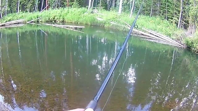 Вот это ХАРИУСЫ! Ленок! Рыбалка на таежной реке 2022 смотреть онлайн