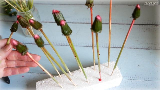 ЦВЕТНЫЕ ОДУВАНЧИКИ / COLOURED DANDELIONS смотреть онлайн