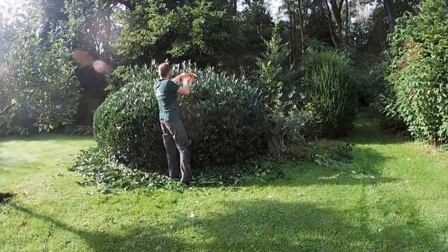 Groenhulp Apeldoorn - Trimming with the Stihl HSA86 & HLA65 смотреть онлайн