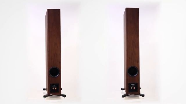 Dynaudio Evoke 50 - Walnut смотреть онлайн