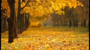 Музыка осени. Классическая музыка. Осенняя подборка музыки.