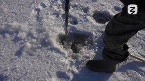 Великие реки России - Амур