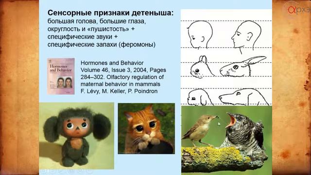 Л4 мозг дети и родители смотреть онлайн