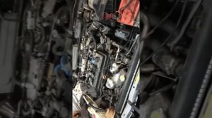 Нет искры ,не заводится Ниссан Альмера 2000 год