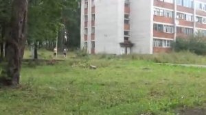 Нивелир Н 3 3я поверка простой способ