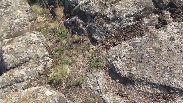 Актовский каньон, Трикратский лес, Доманевка смотреть онлайн