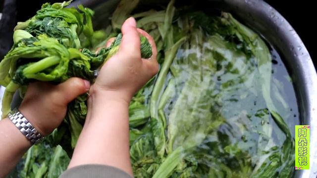 吃不完的大青菜，农村大姐一做，放10年不坏，太香了 смотреть онлайн