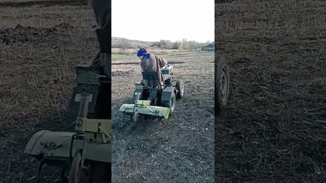 Фрезую огород под посадку чеснока #девушка #деревенскаяжизнь #жизнь #робота #село #фрезую#чеснок смотреть онлайн