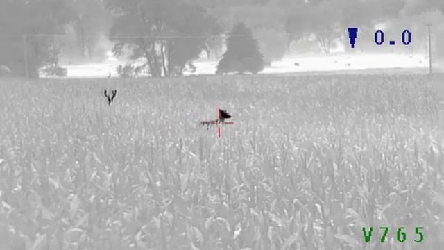 archer falcon 640x520 lrf pro thermal weapon sight deer hirsch смотреть онлайн