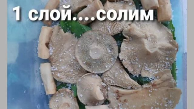 Грибы скрипицы. Засолка горячим способом смотреть онлайн