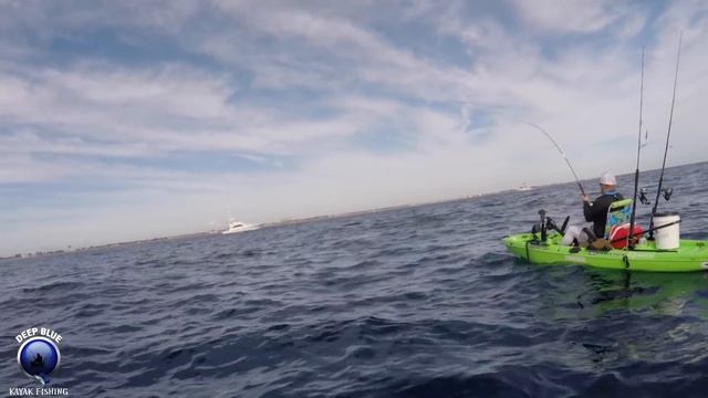 MONSTER MAHI From Kayak! смотреть онлайн