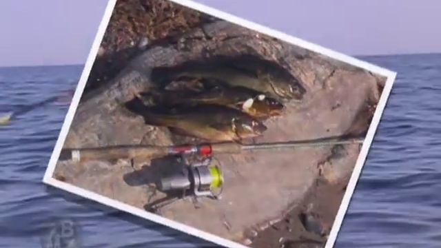 По Сонреке и Белому морю 2 смотреть онлайн