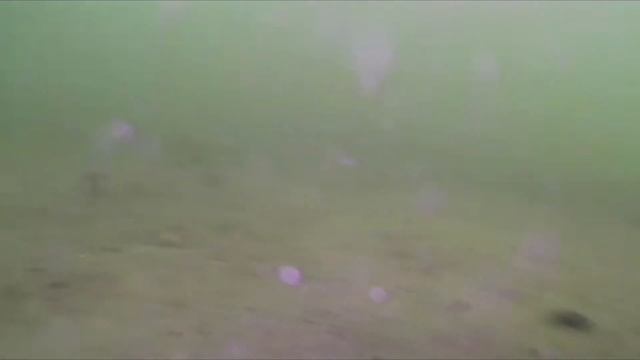 Рыбацкая деревня на ВВЦ смотреть онлайн