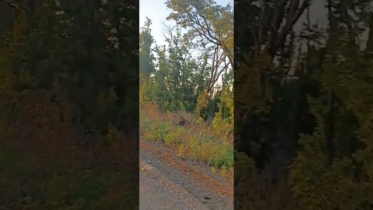 БАХМУТ - 1400 МЕТРОВ... ДО ВОЙСК ВСУ!/ ИЛИ ЕСЛИ БОГ ЗА НАС, КТО ПРОТИВ НАС!/ СЕРГИЙ АЛИЕВ/ РЕПОСТ смотреть онлайн