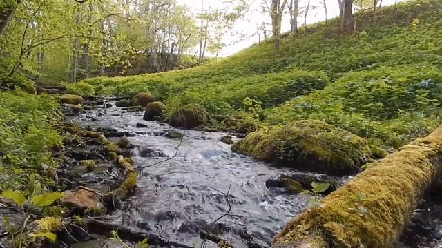 Ирина Бржевская У ручья. смотреть онлайн