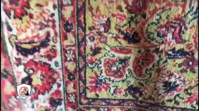 Где найти клопов,тараканов? смотреть онлайн