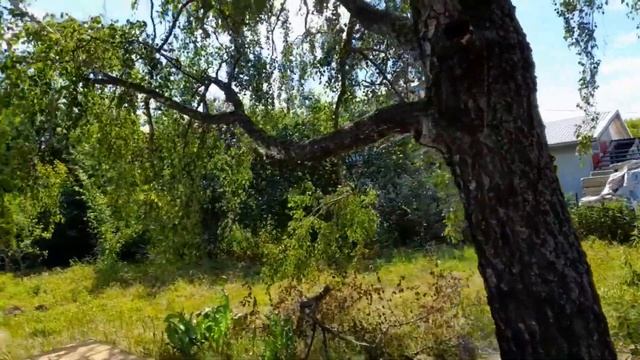 НЕТ ДЕНЕГ.../ КУПИЛА ДОМ В ДЕРЕВНЕ/@netfermer / 6 июля 2022 г. смотреть онлайн