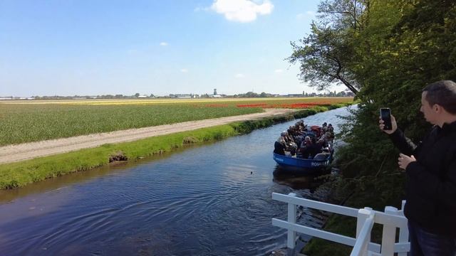 Keukenhof 2022 - 4K / Netherlands - The largest flower gardens in the world - (Part1) Walking Tour смотреть онлайн
