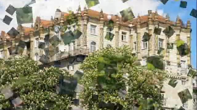 КАШТАНЫ ЦВЕТУЩИЕ смотреть онлайн