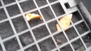 Замена фильтра салона на Волге