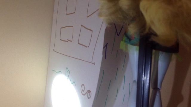 Сон во время грозы