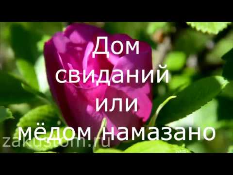 Дом свиданий для шмелей или мёдом намазано? смотреть онлайн