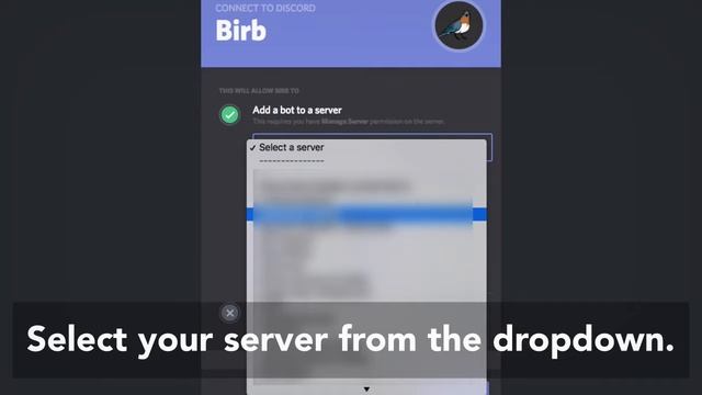 Birb Tutorial -- How to add Birb. смотреть онлайн