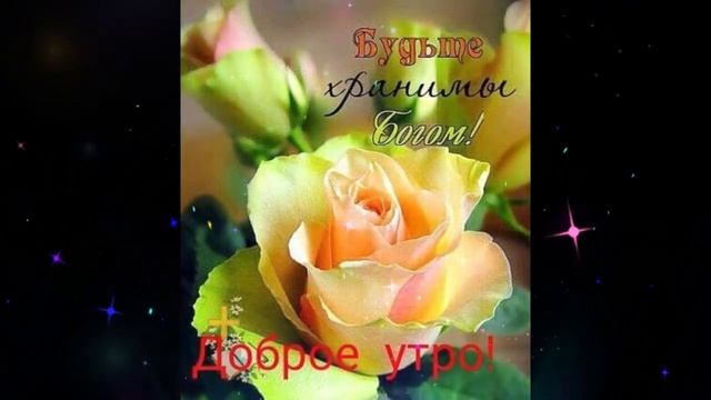 Доброе утро Элина Чага Чай С Облепихой смотреть онлайн