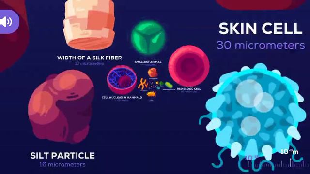 Using universe in a nutshell app смотреть онлайн