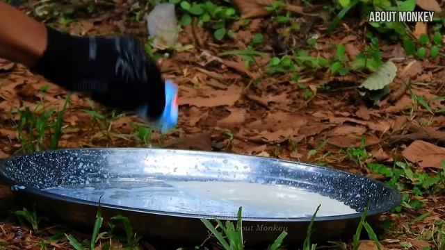Breaking Heart..!! Anonymous Person Abandoned 2 Pet Monkeys Into Wild Troop And VO Gives Fresh Milk смотреть онлайн