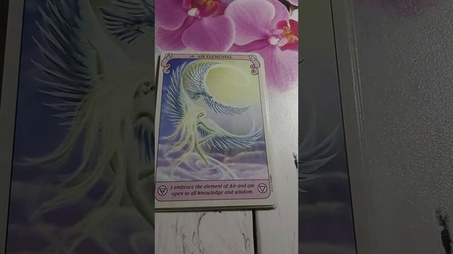 Conscious Spirit Oracle Deck by Kim Dreyer. Обзор оракульной колоды. смотреть онлайн