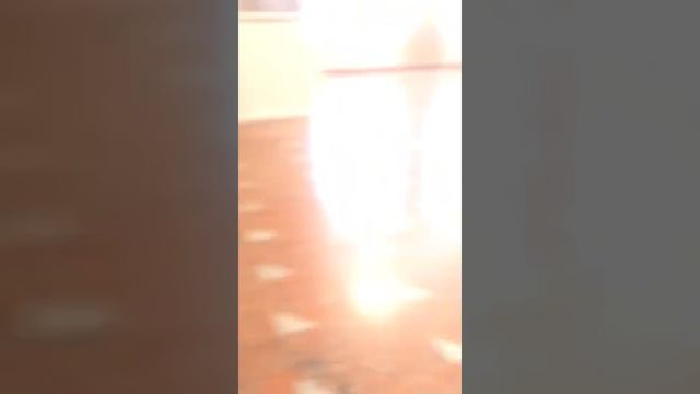 Ищем автора видео! Где когда и кем снято видео смотреть онлайн