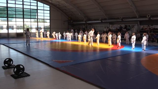 Gerd Rebicek - Seminar de Karate Goju Kai, Liceul Mircea Eliade 01 2016 05 14 смотреть онлайн