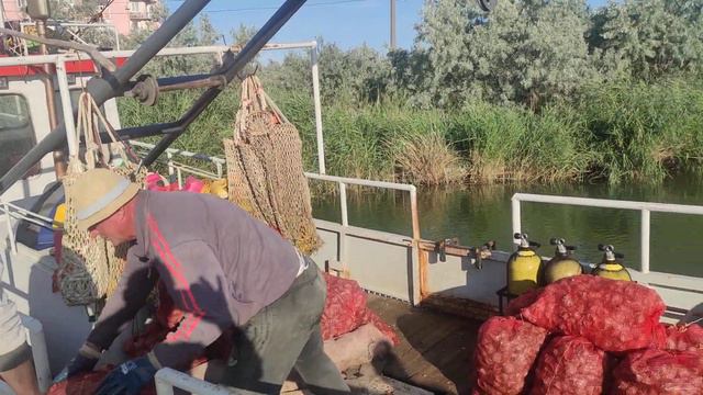 Санитары Затокского Морского Дна смотреть онлайн