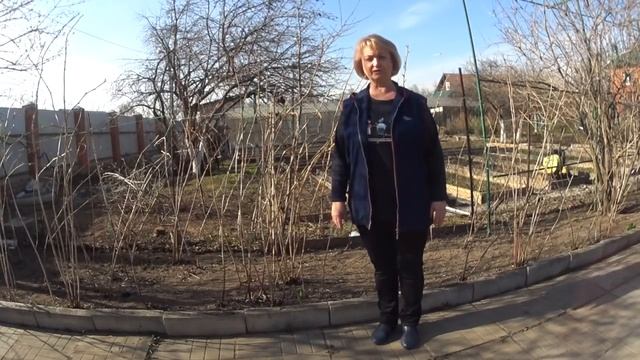 Малина. Обработка весной от вредителей и болезней. смотреть онлайн