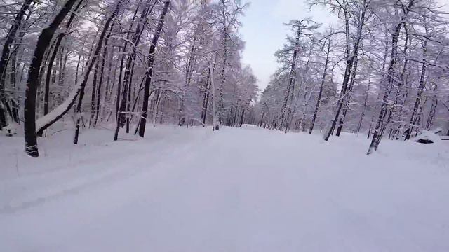 Завьялиха (обзор 6 трассы)