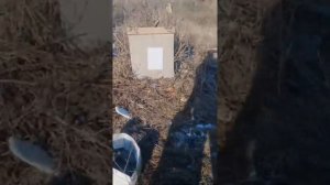 Пристрелка ружья мр 153 калибр 12