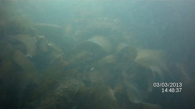 MUVI underwater Video tested Sandycove 3/3/2013 смотреть онлайн