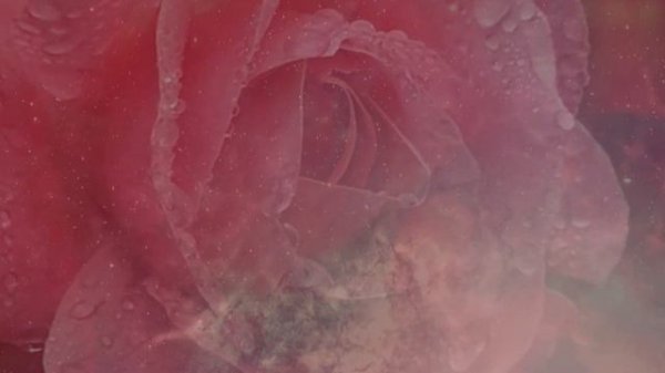 Pablo Neruda - Sus 5 (mejores) Poemas de Amor... ¡POESÍAS IMPRESCINDIBLES!