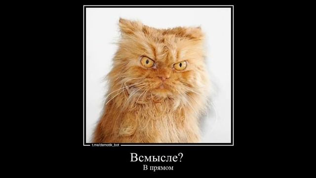 В этом видео много смысла смотреть онлайн