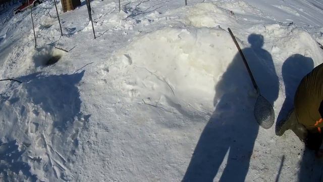 РЫБЫ ВАЛОМ! ХАПУГИ ТРЕЩАТ ОТ ЩУК И СИГОВ! смотреть онлайн