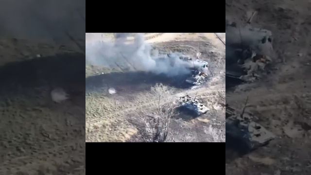 Очі та Жало: листопад 2023, результати РТГР Птахи Мадяра