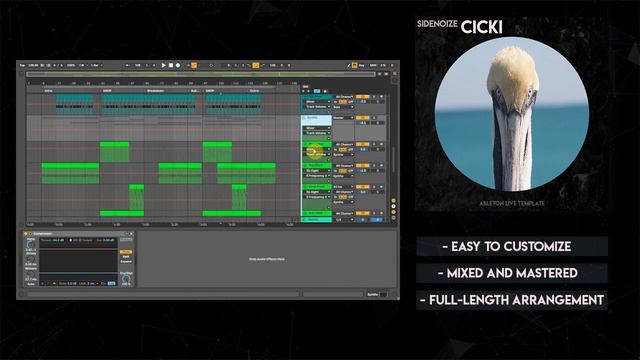 Tech-House, Chris Lake , FISHER Ableton Live template style - Cicki смотреть онлайн